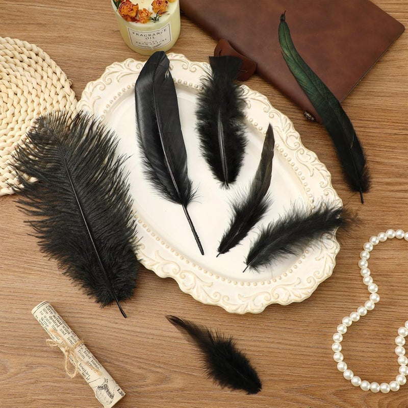 MARFOREVER 100 PCS Halloween Black Craft Feathers, 8 Styles Assorted Mixed Natural Feathers Black Goose Feathers Bulk for DIY Crafts Costume Dream Catcher Wedding Home Halloween Party Decorations - Image 3